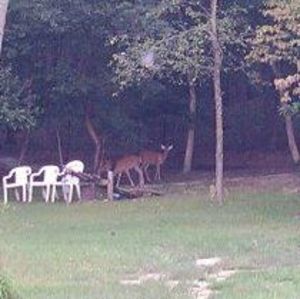 Meet your Posher, Paul